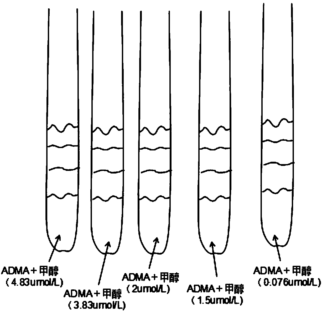 Asymmetric dimethylarginine high-efficiency detection method