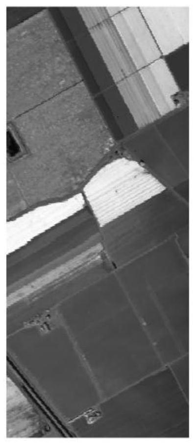 A hyperspectral image lossless compression method and system based on spectral-spatial dimension combination