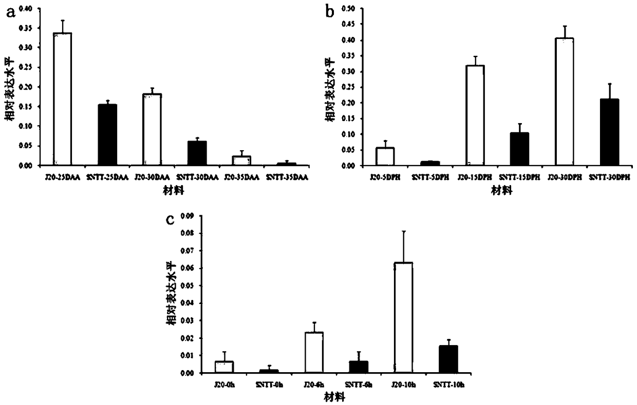 Wheat seed dormancy duration gene TaCNGC-2A and functional marker thereof