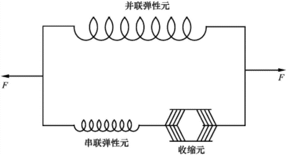 A flexible artificial muscle