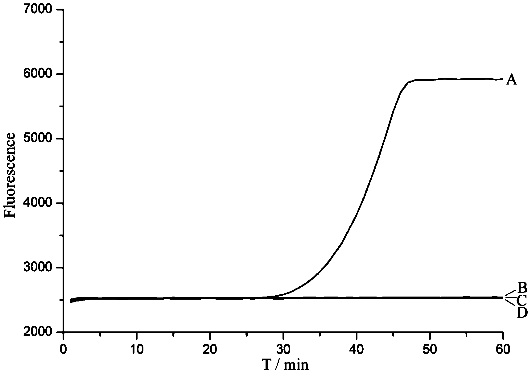 Single primer-initiated nucleic acid constant temperature amplification method