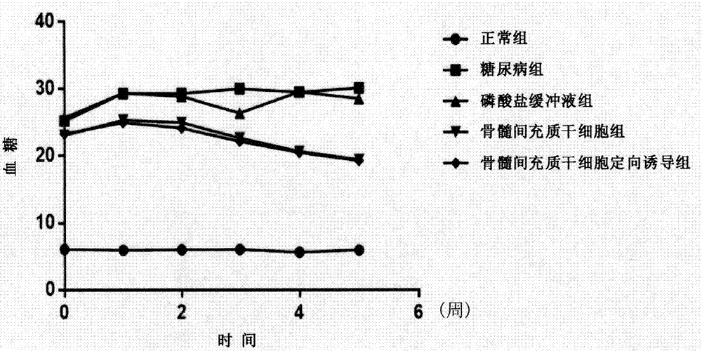 Preparation method of stem cell preparation for repairing diabetes pancreas islet function