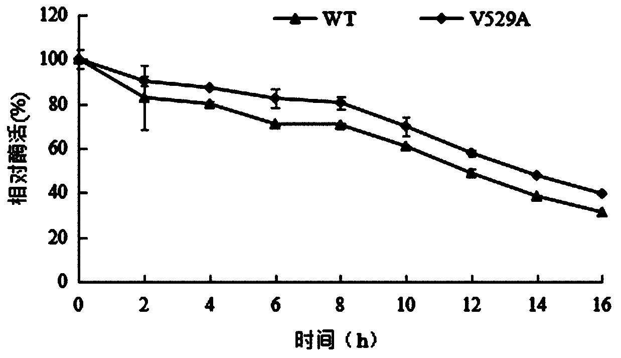 A method for improving the thermal stability of α-l-rhamnosidase r-rha1