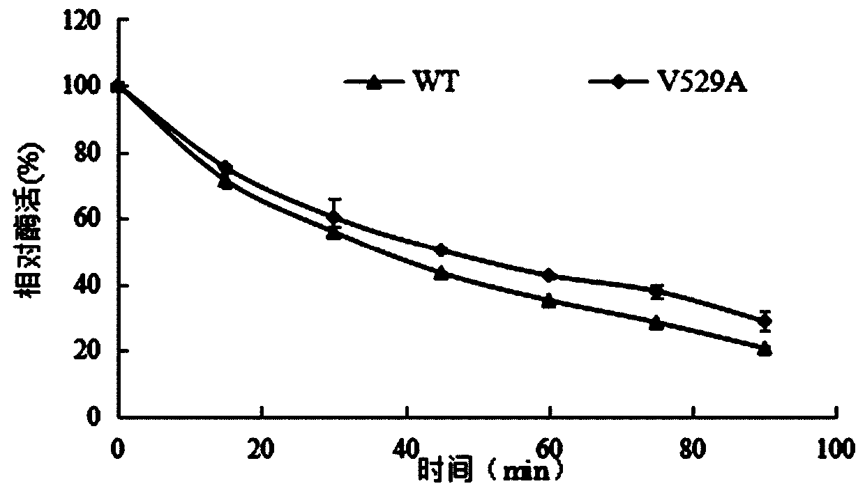 A method for improving the thermal stability of α-l-rhamnosidase r-rha1