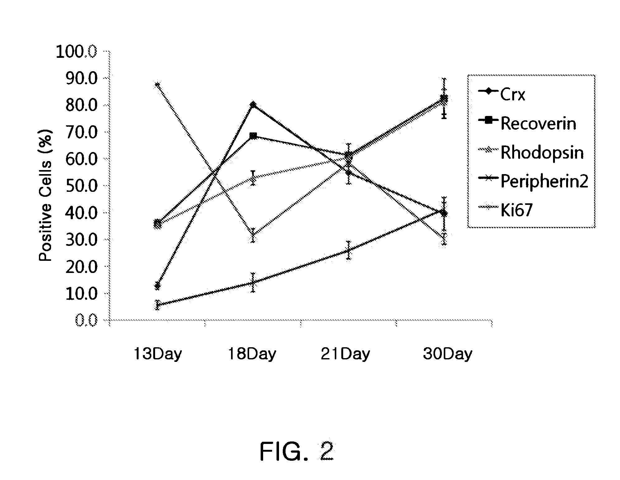 Method for differentiation into retinal cells from stem cells