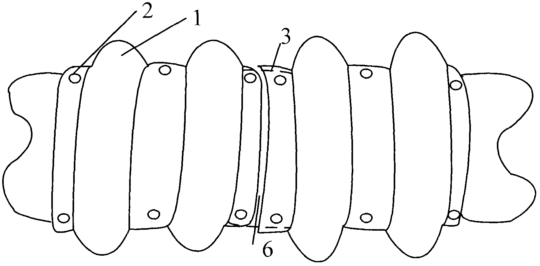 Device for preventing bedsore and facilitating overturn