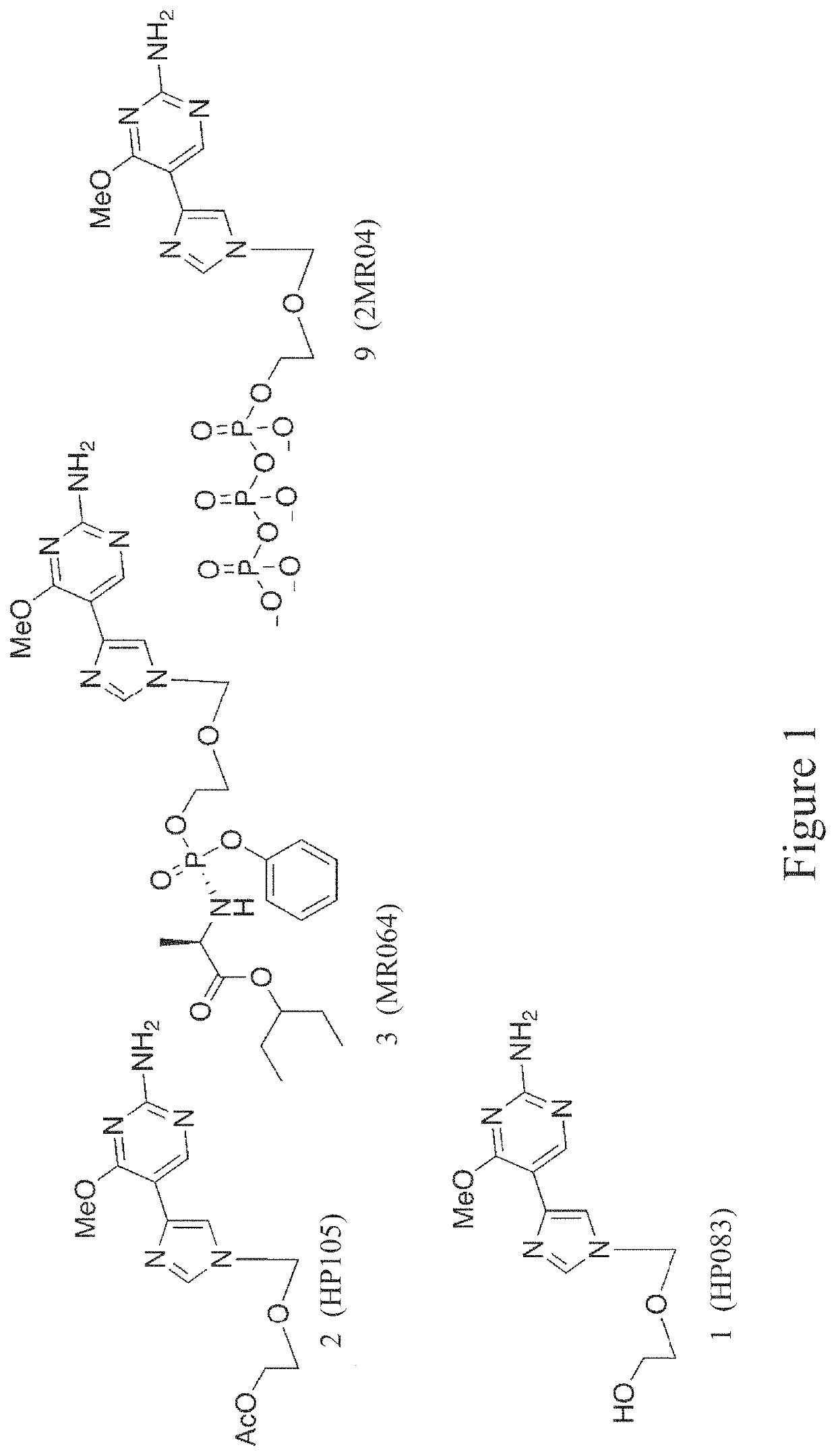 Flex-nucleoside analogues, novel therapeutics against filoviruses and flaviviruses