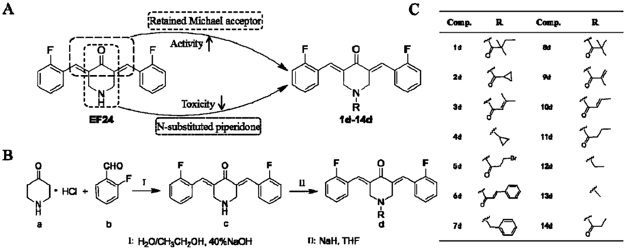 Application of NF-kB inhibitor in preparing anti-lung cancer medicine