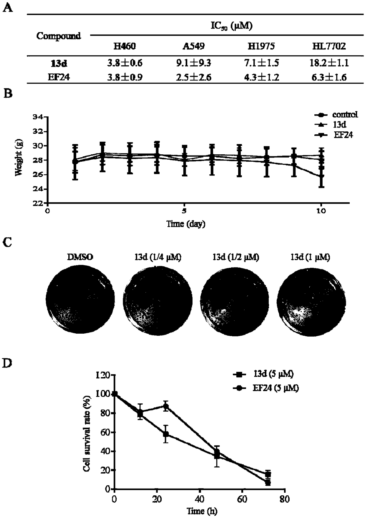 Application of NF-kB inhibitor in preparing anti-lung cancer medicine