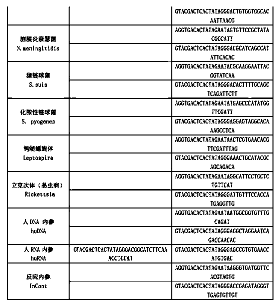 Kit for synchronously detecting fifteen hemorrhagic fever pathogens and detection method of kit