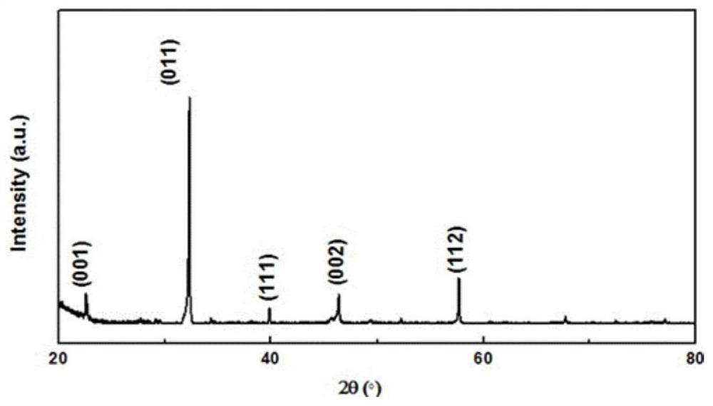 Preparation method and application of lithium negative pole or sodium negative pole and lithium negative pole or sodium negative pole