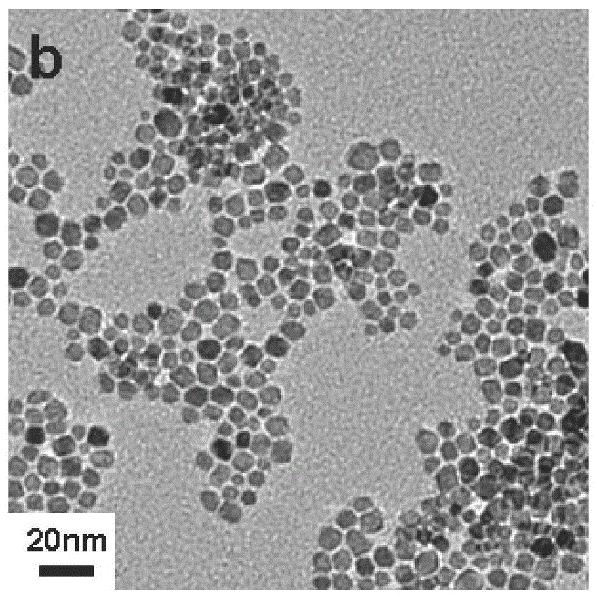 A method for preparing water-soluble magnetic nanoparticles