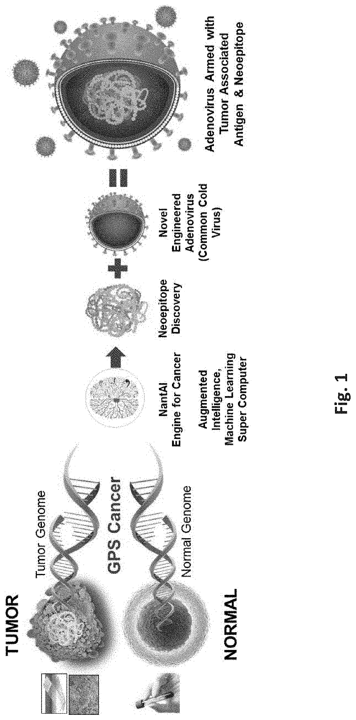Neoepitope vaccine and immune stimulant combinations and methods
