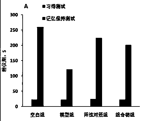 Composition and preparation for improvement of learning memory, and preparing method and application thereof