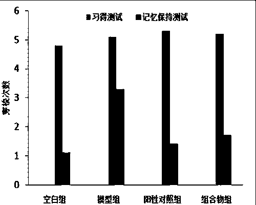 Composition and preparation for improvement of learning memory, and preparing method and application thereof