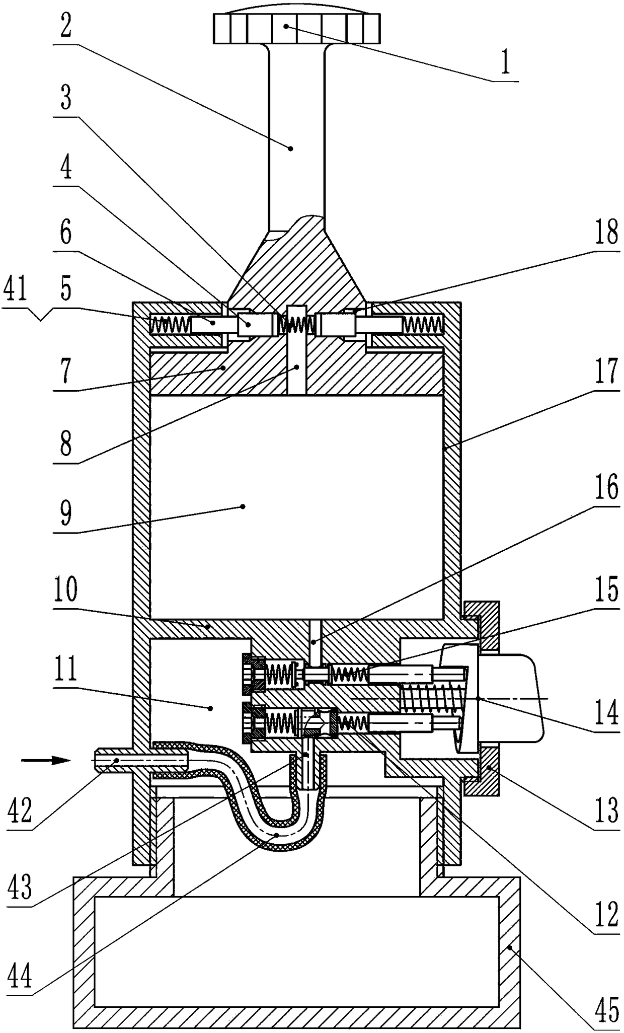 Low-pressure anaerobic bacterium culture device