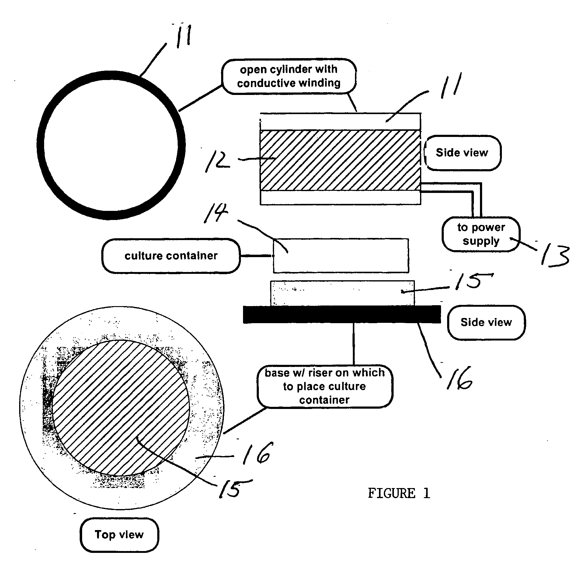 Apparatus for enhancing proliferation of cells in a small-scale cell culturing container