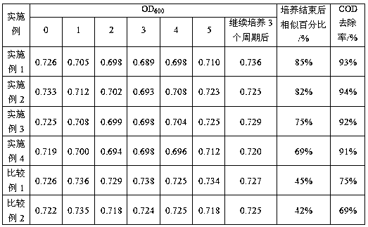 A kind of open culture method and application of paracoccus fstb-2