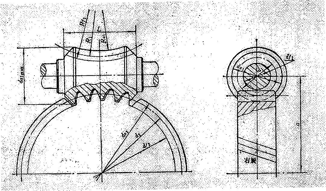 Involute surface envelope ring surface worm and worm wheel tri-dimensional entity modelling method