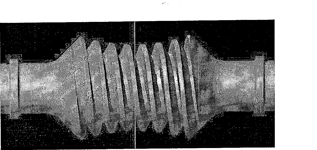 Involute surface envelope ring surface worm and worm wheel tri-dimensional entity modelling method