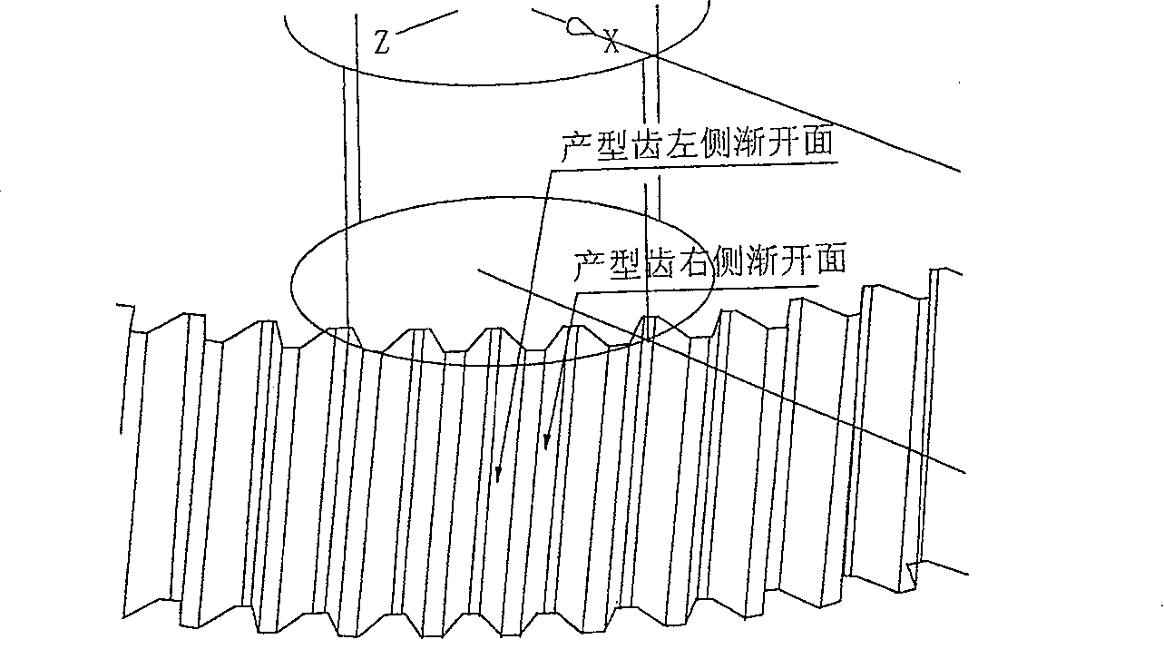 Involute surface envelope ring surface worm and worm wheel tri-dimensional entity modelling method