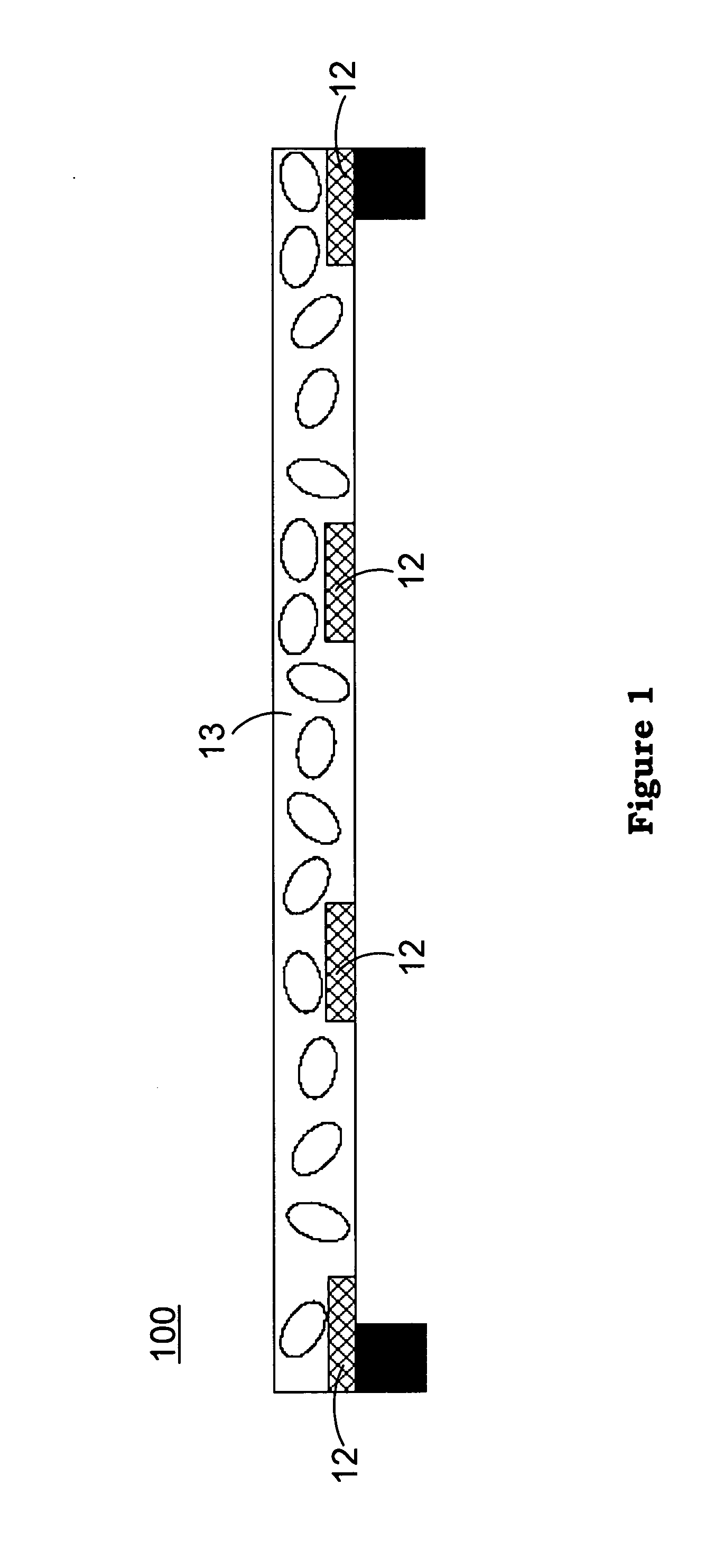 Method and apparatus for forming the doped cryo-biology specimen of electron microscope