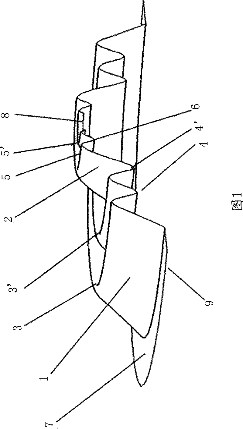 Orientation sheet-supporting structure of thin type speaker