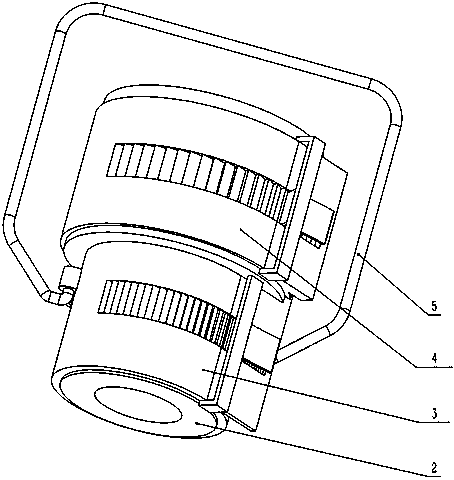 Glans fixation device and corresponding stretcher for stretching penis