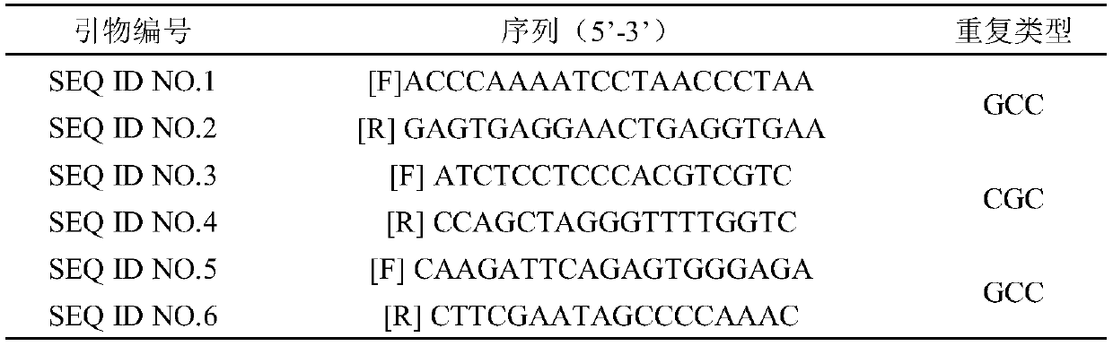 Seed production method of bamboo callus for internal irradiation and chemical mutagenesis fibers