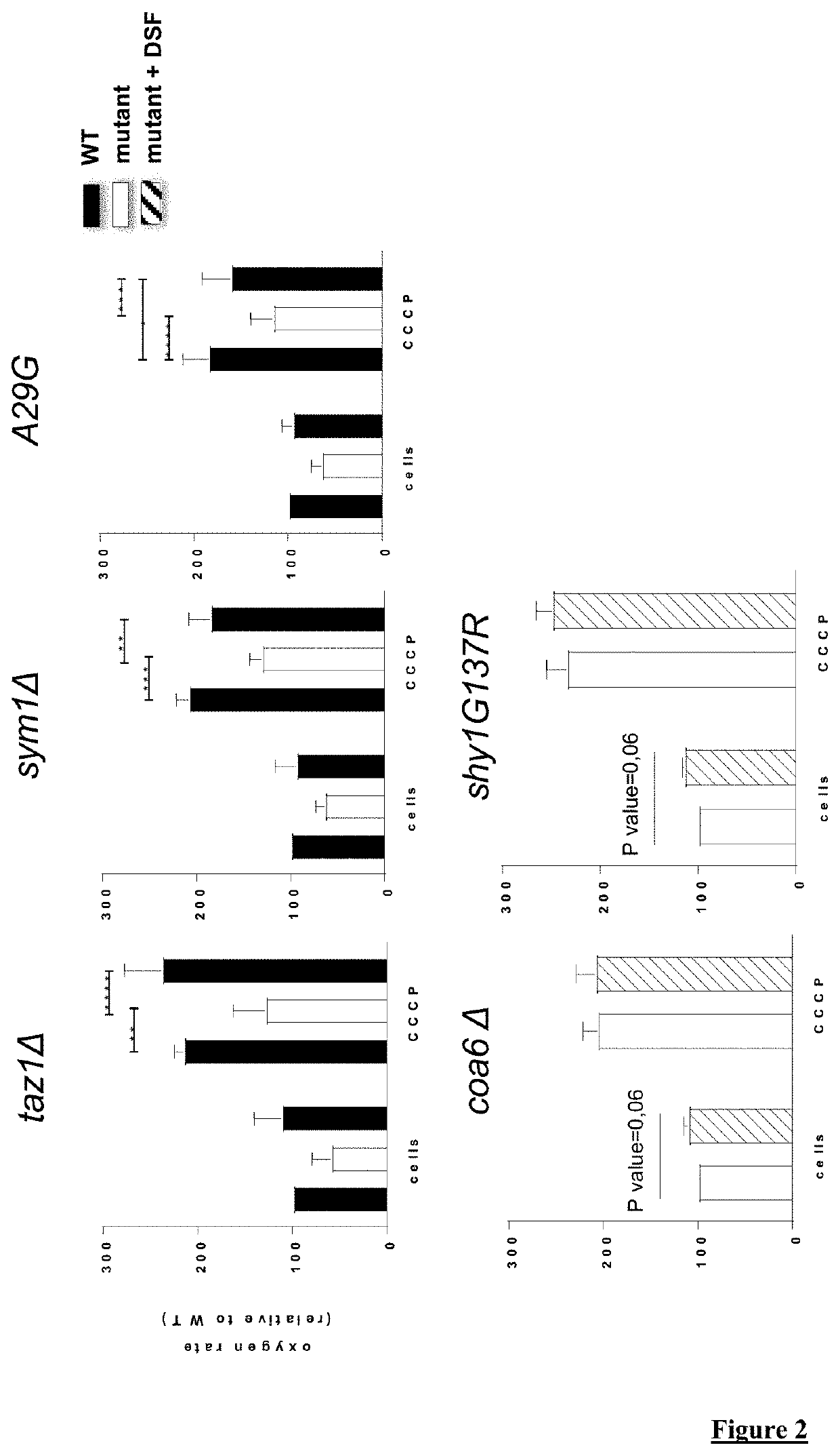 Use of disulfiram or its derivatives for the treatment of mitochondrial diseases or dysfunction