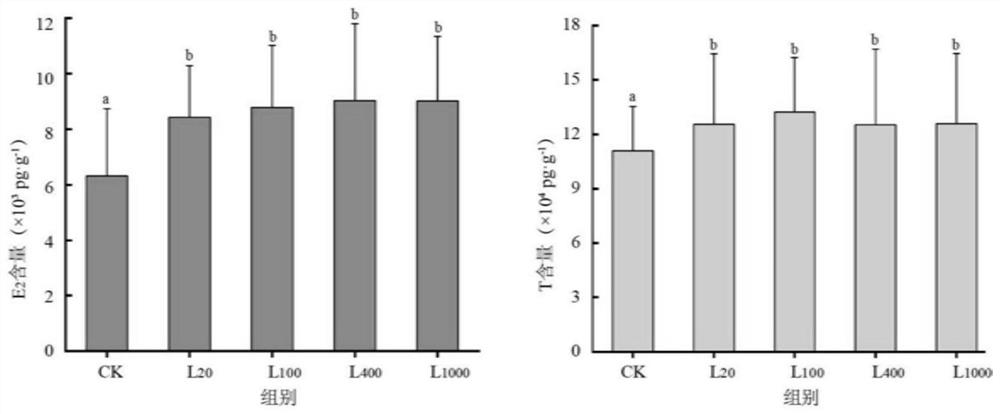 All-male breeding method for giant spiny frogs