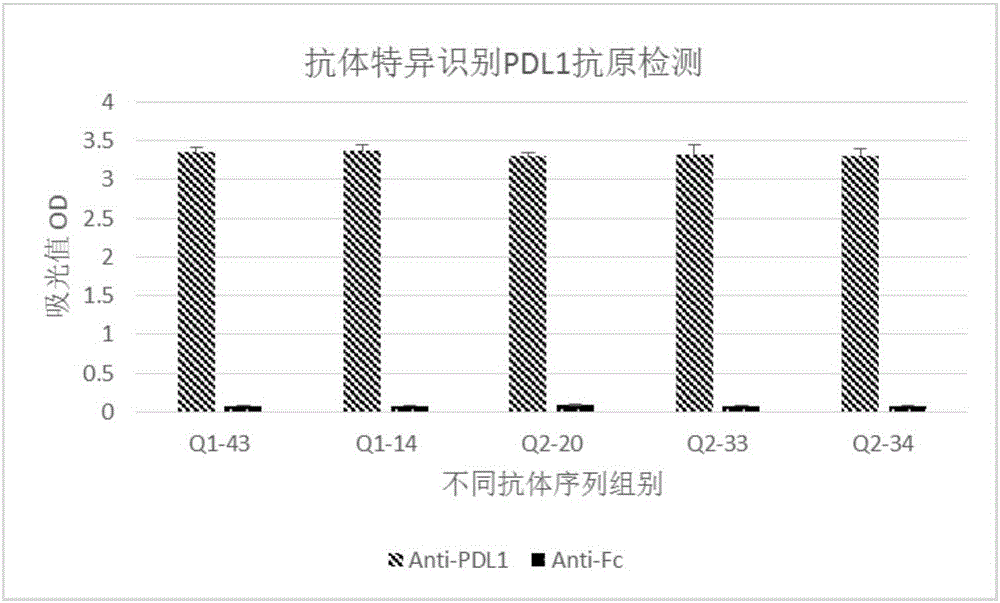 Humanized antibody or antibody fragment for PD-L1 extracellular fragments and application thereof, nucleotide sequence and carrier