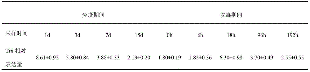 Compound bacterium preparation and application thereof