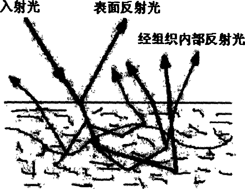 Optical method for detecting discerptible medium skin layer and deep layer information