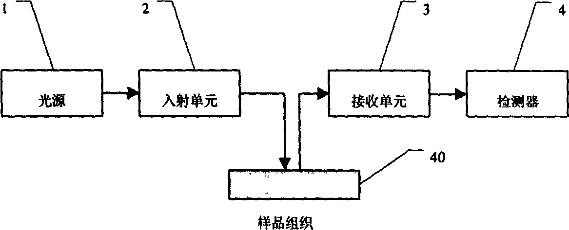 Optical method for detecting discerptible medium skin layer and deep layer information