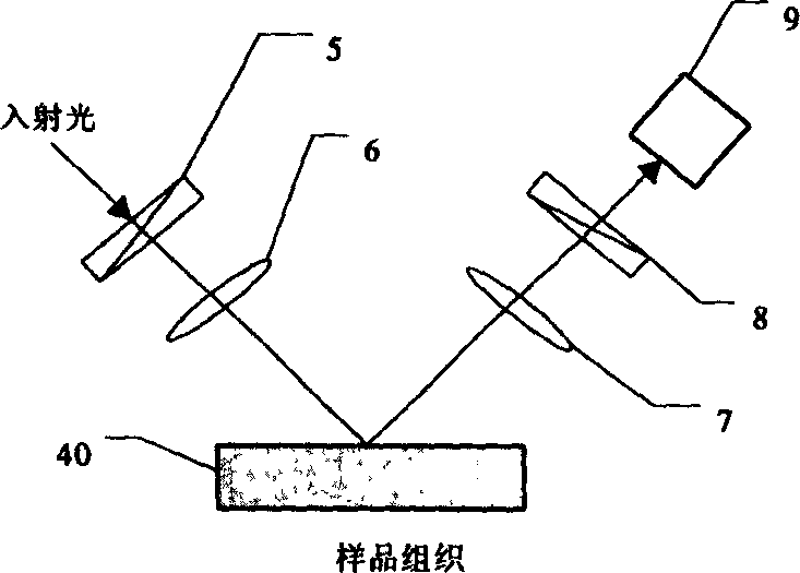 Optical method for detecting discerptible medium skin layer and deep layer information