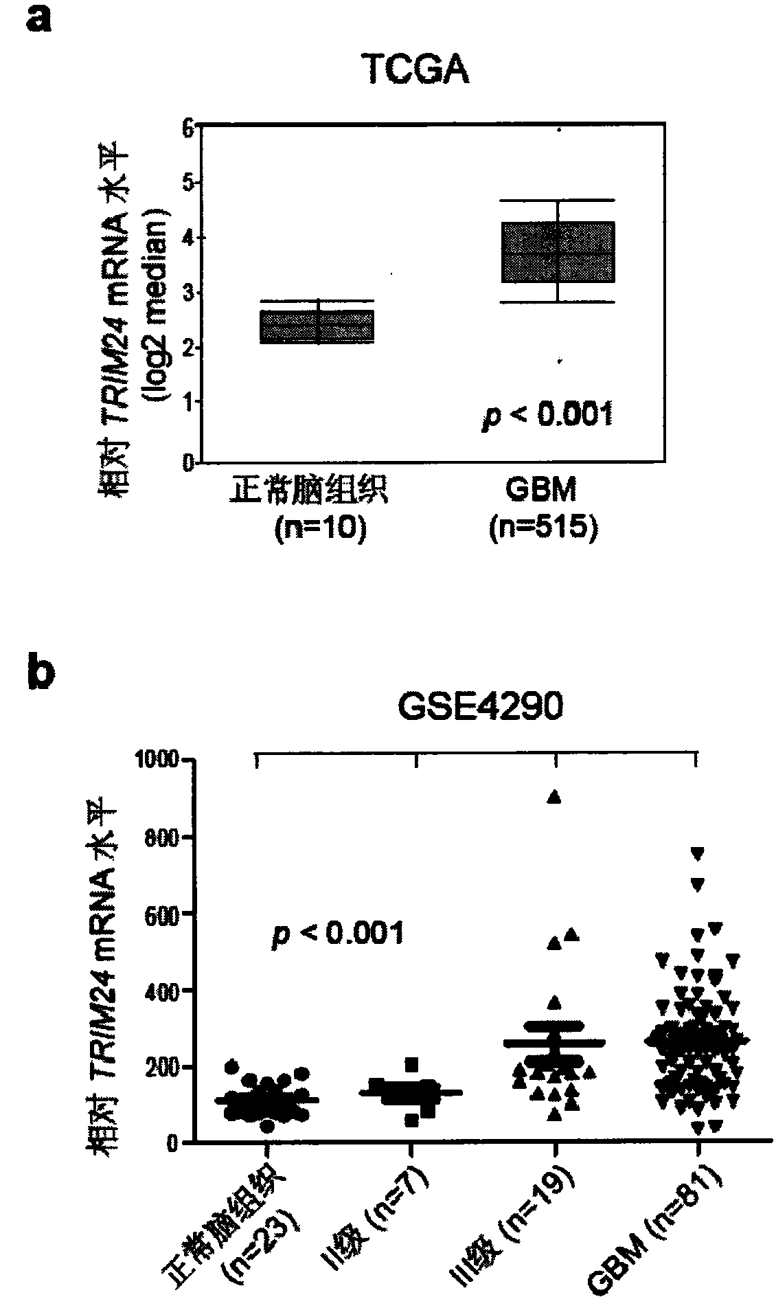 Application of TRIM24 in glioma diagnosis