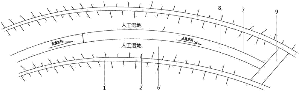 Method of purifying artificial wetland of streamside zone of cadmium-polluted irrigation water