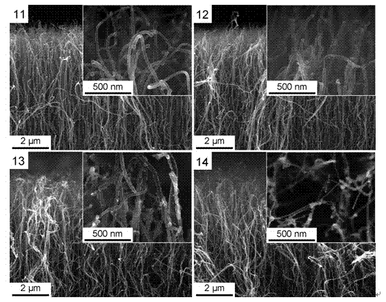 Method for improving field emission performance of carbon nano tube by microwave hydrogen plasma treatment