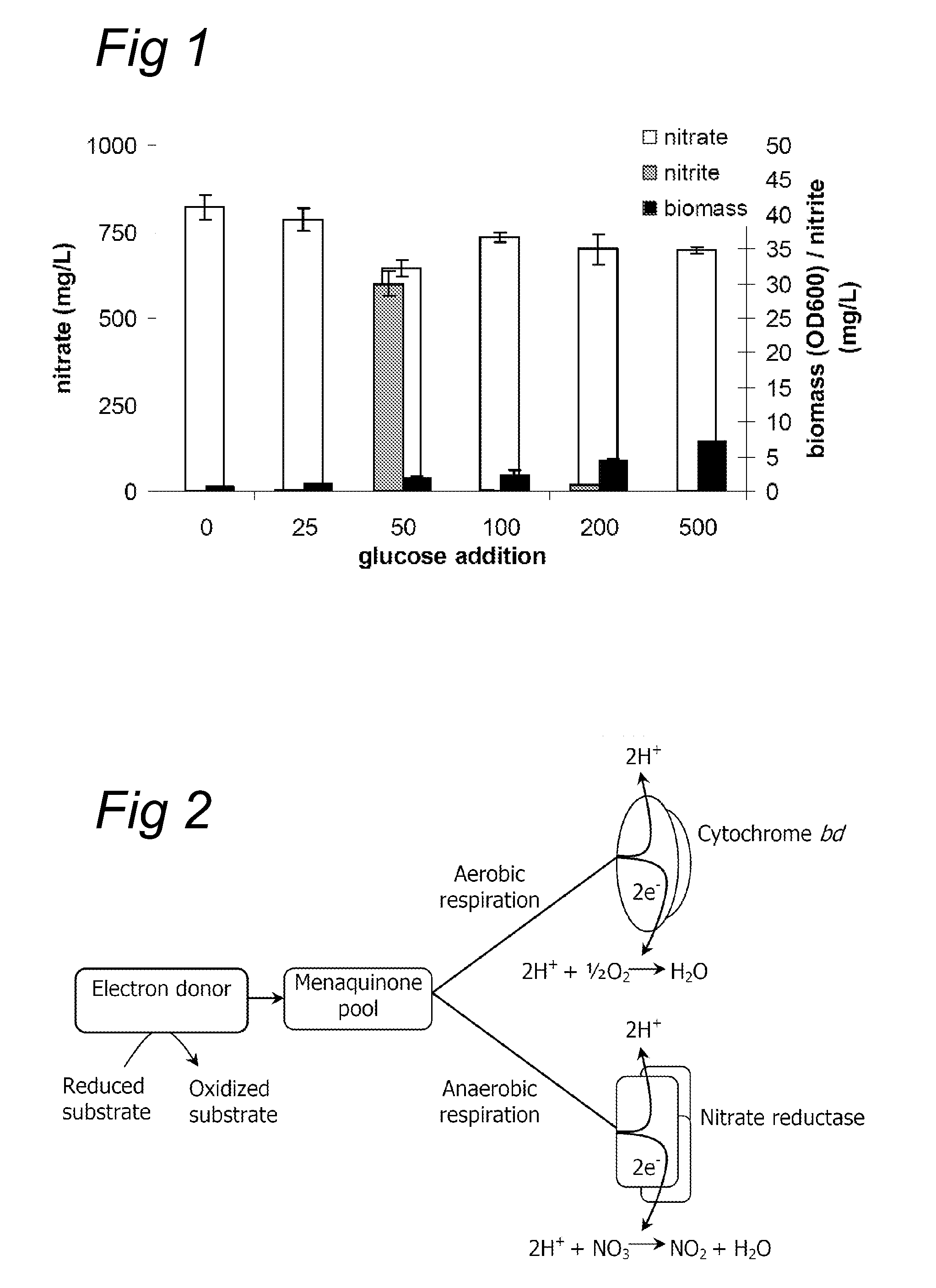 Nitrate reduction by a probiotic in the presence of a heme