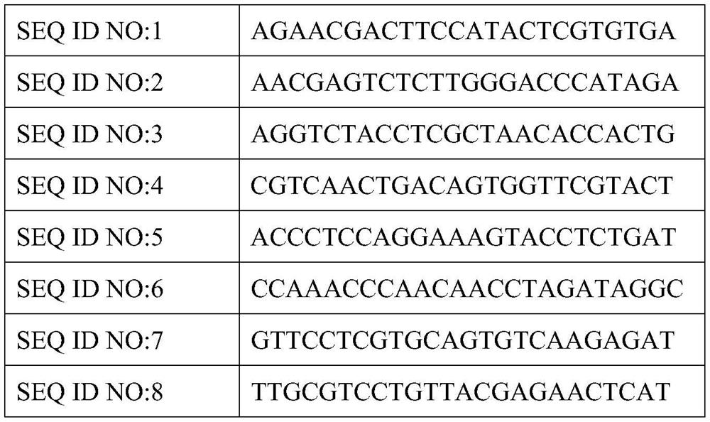 Primer combination and application for nanopore sequencing library construction of a respiratory pathogen