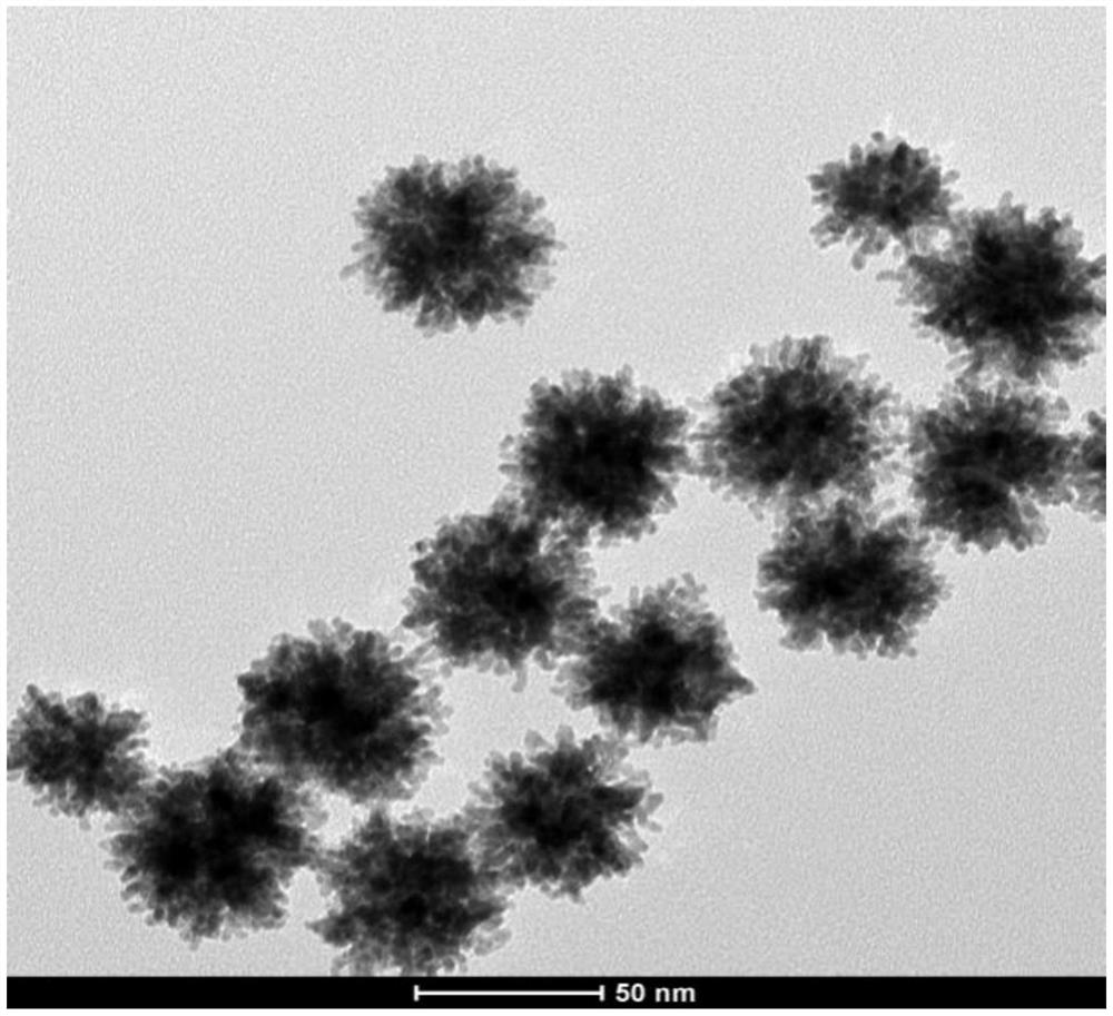 A Ratiometric Fluorescence Analysis Method for Detecting Mercury Ions