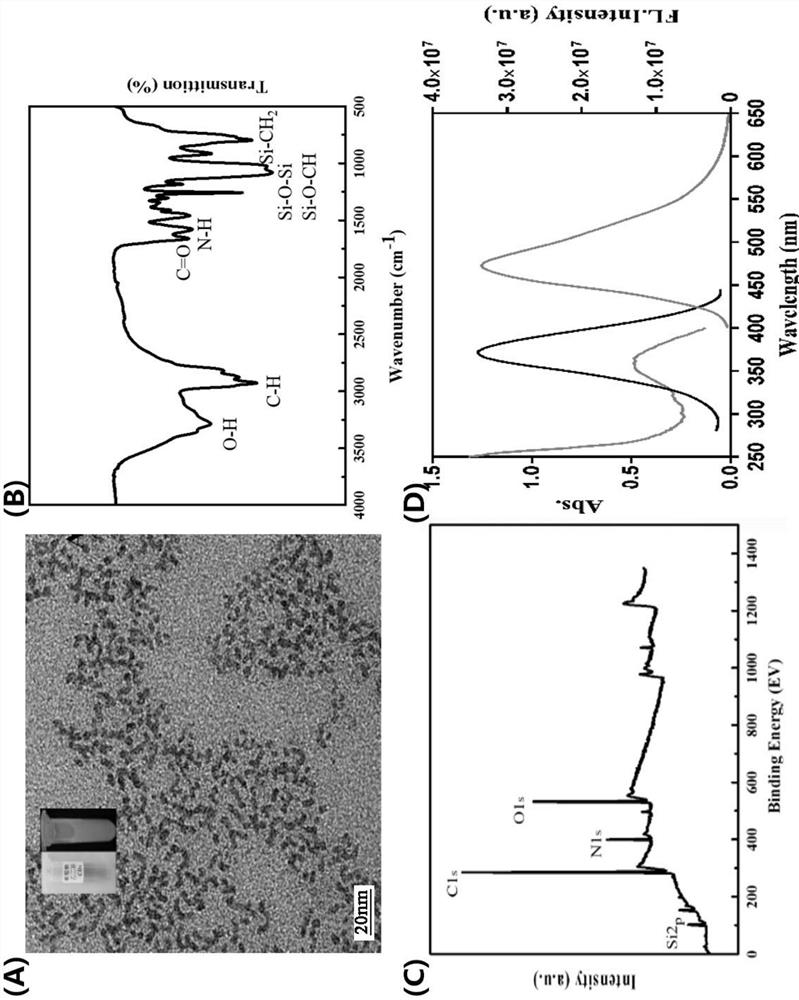 A Ratiometric Fluorescence Analysis Method for Detecting Mercury Ions