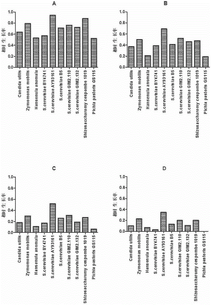 Application of saccharomyces cerevisiae in biosynthetic L-phenylacetylcarbinol