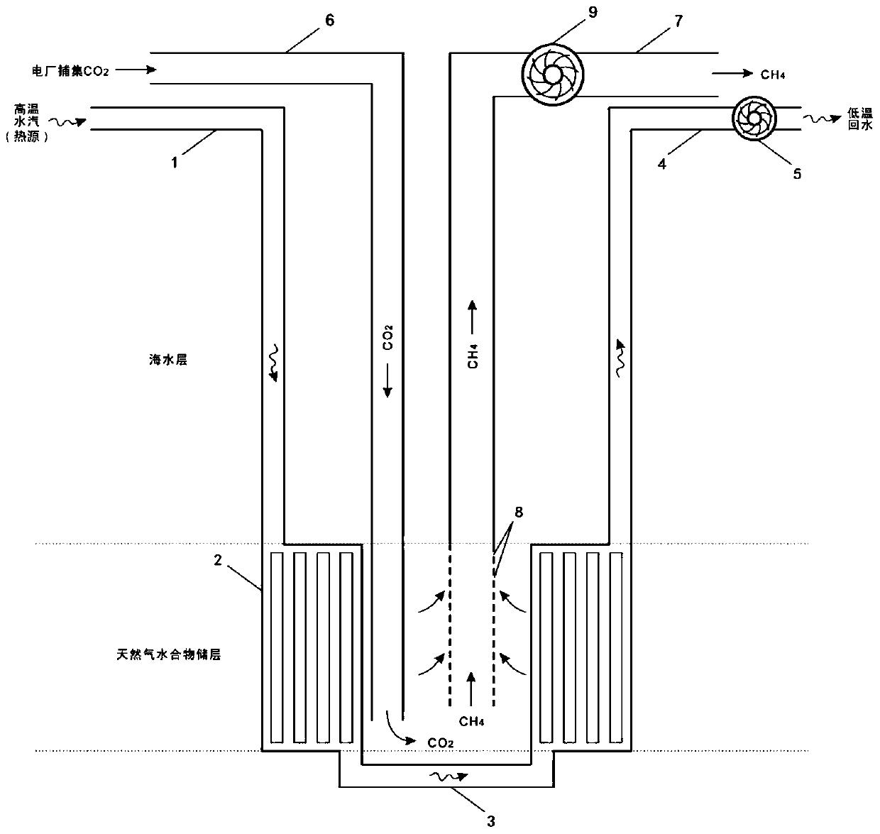 Novel development device and method for natural gas hydrate