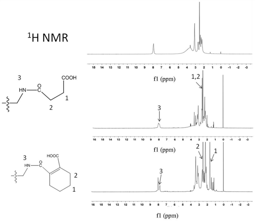 Application of pamam in preparation of reagents for immunoassay