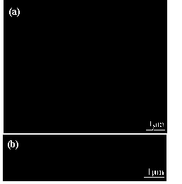 Preparation method of zinc oxide/cuprous oxide heterojunction