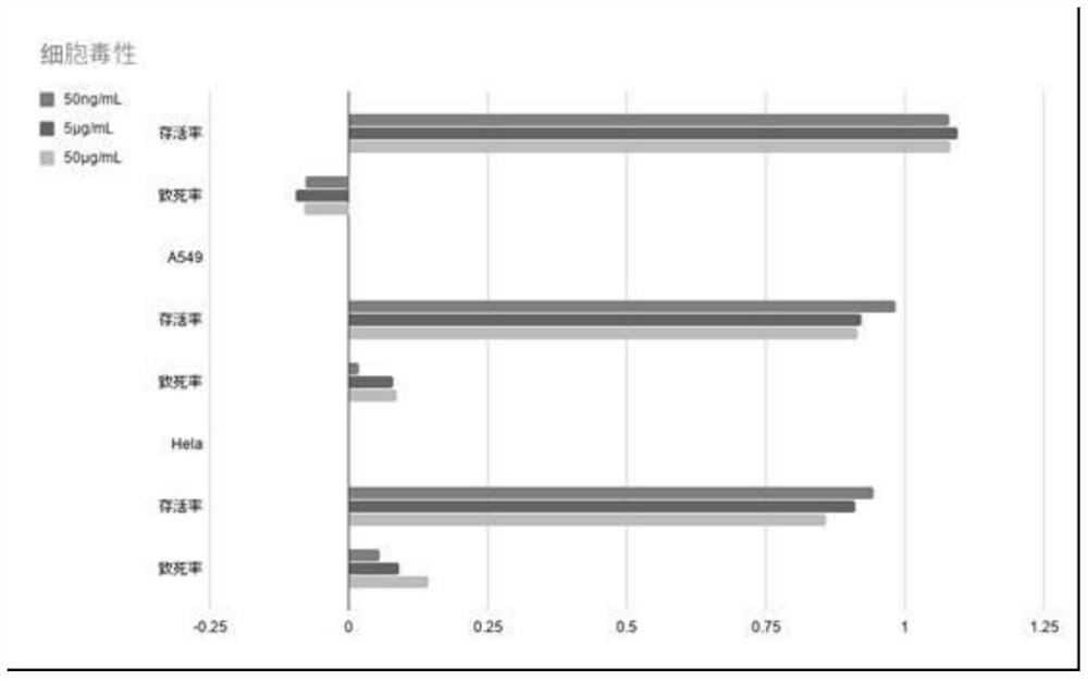 Application of dithiobibutyl phenol and analogue in prevention and treatment of organ injury diseases caused by coronavirus pneumonia (including COVID-19)