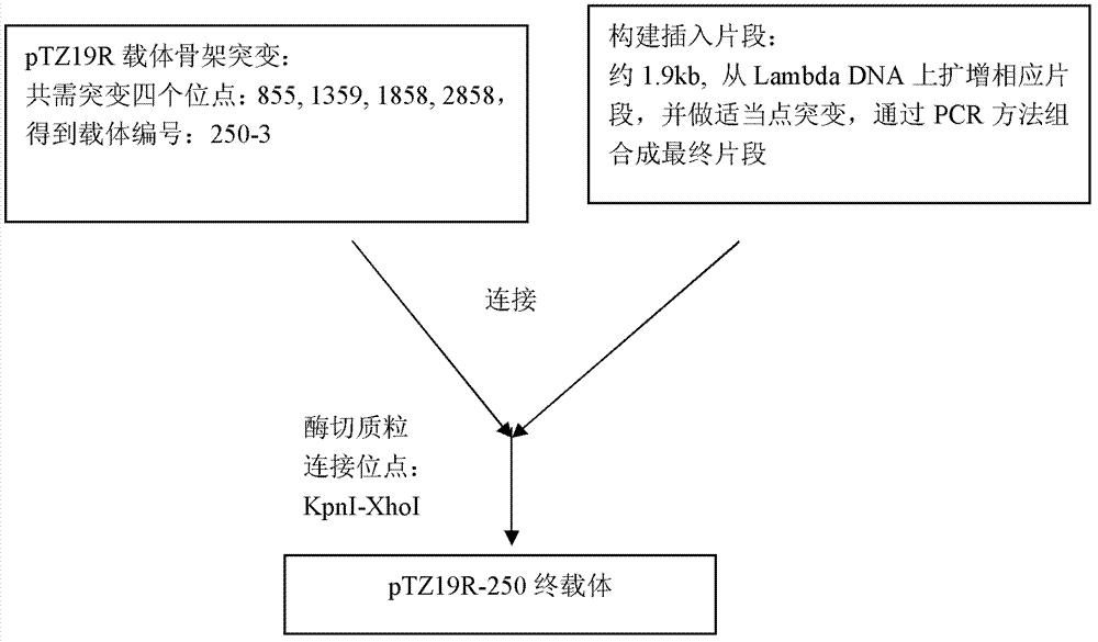 Method for preparing DL2000 DNA molecular weight marker as well as product and applications thereof