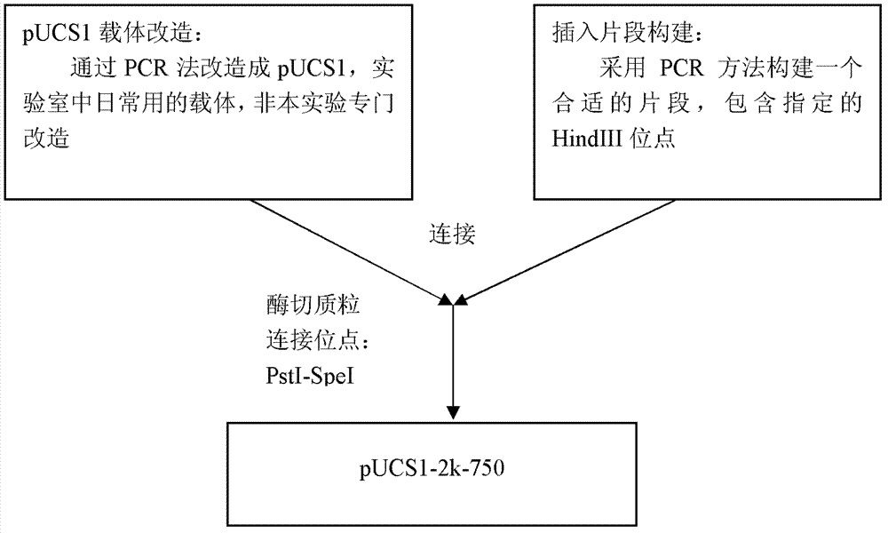 Method for preparing DL2000 DNA molecular weight marker as well as product and applications thereof